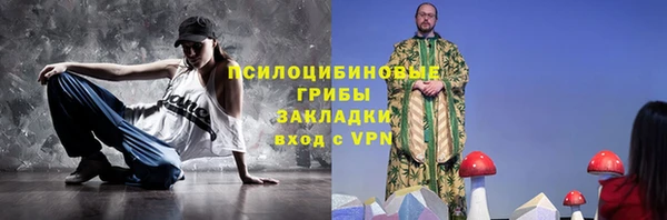 бошки Апатиты